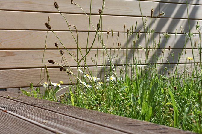 garden studio