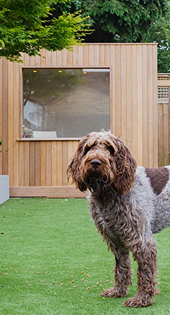 garden studio